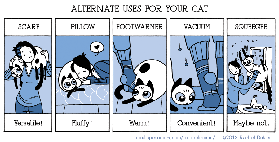 Alternate Uses for Your Cat