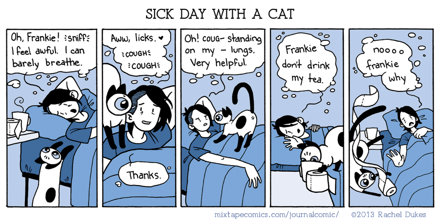 Sick Day With A Cat