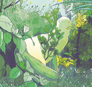 Frankie Outside 2023