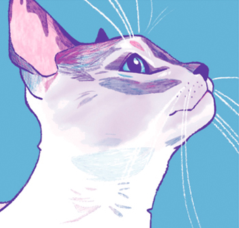 Frankie Outside 2023